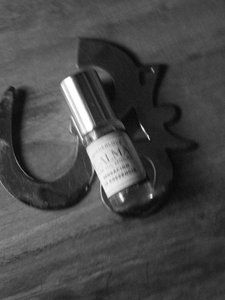 CUIDA TU C-ALMA PURE MOGRA OIL