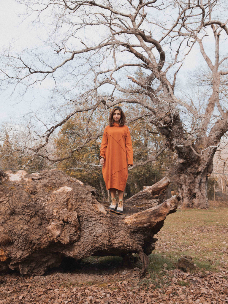 CLIVIA DRESS